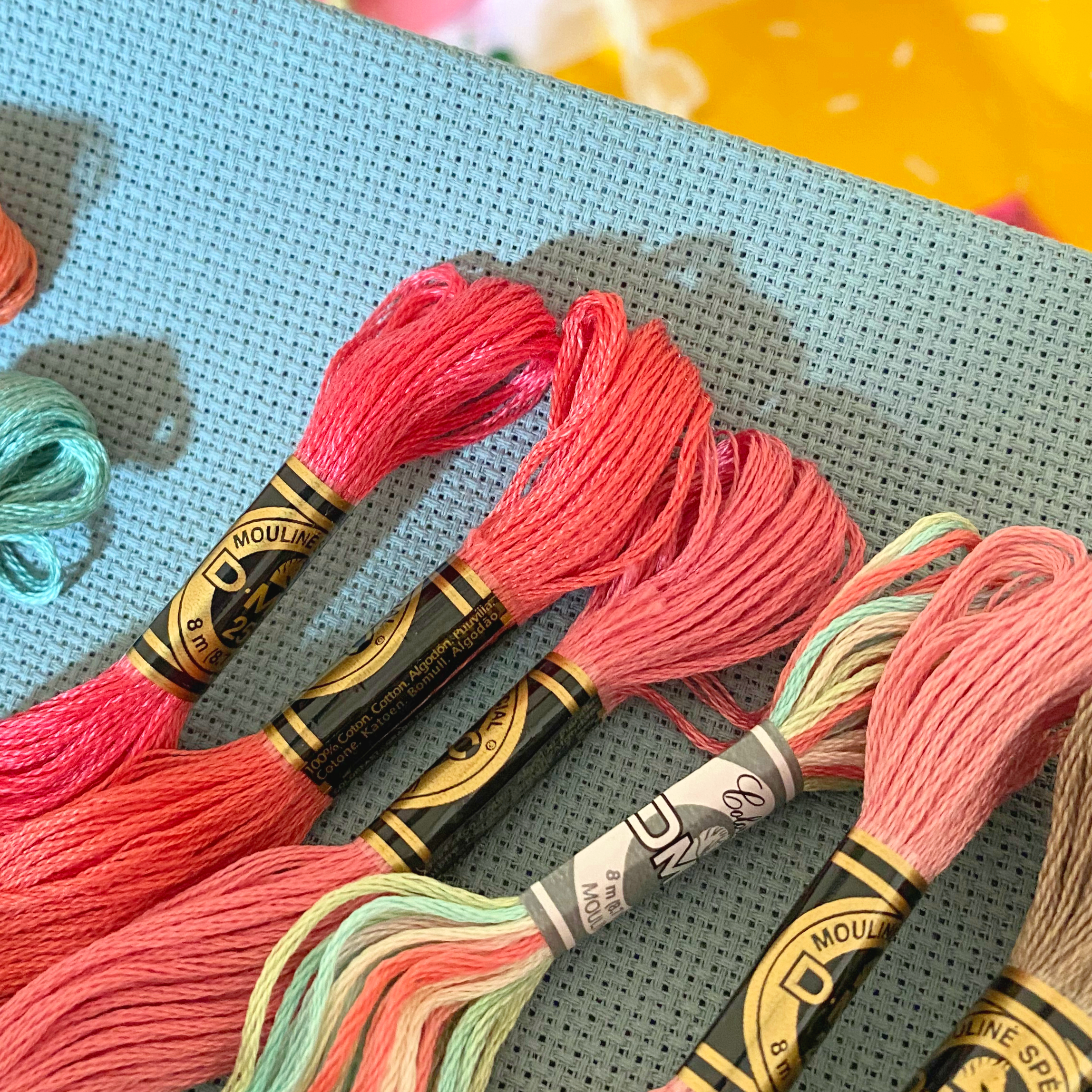 DMC embroidery threads and blue aida